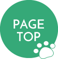 PAGE TOP